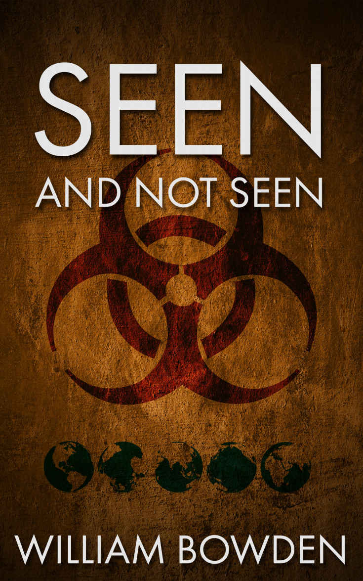 Seen and Not Seen (The Veil Book 1)