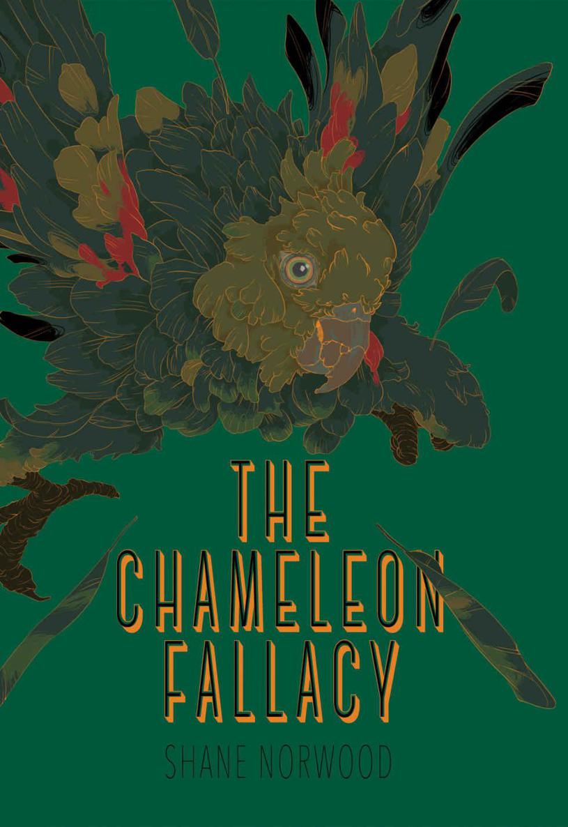 The Chameleon Fallacy (Big Bamboo Book 2)