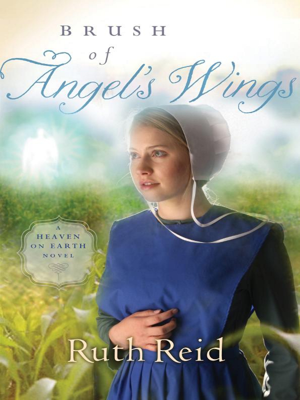 Brush of Angel's Wings