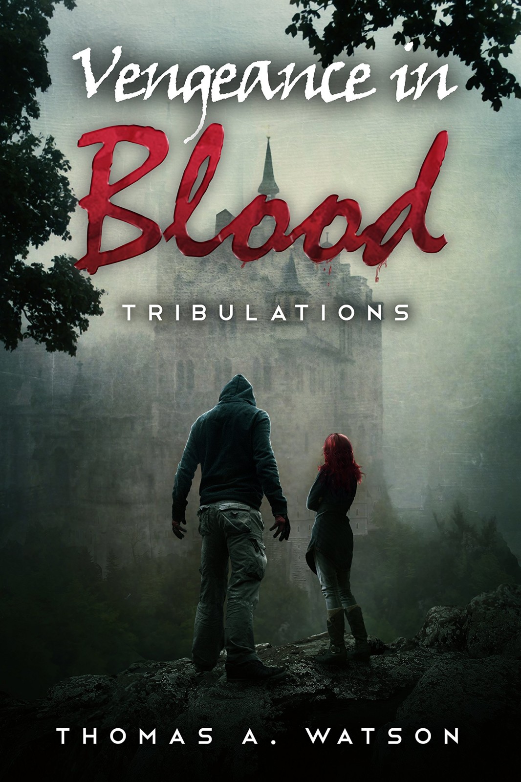 Vengeance in Blood: Tribulations--Book 2